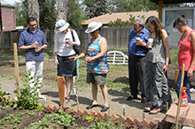 People in a community garden